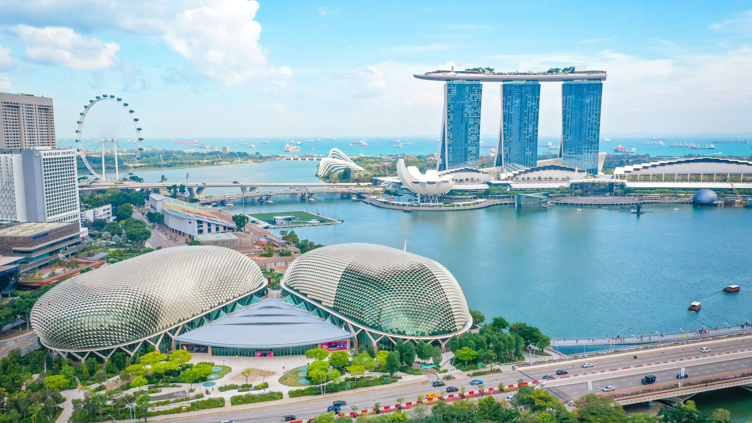 Top Methods to Verify a Singapore Company