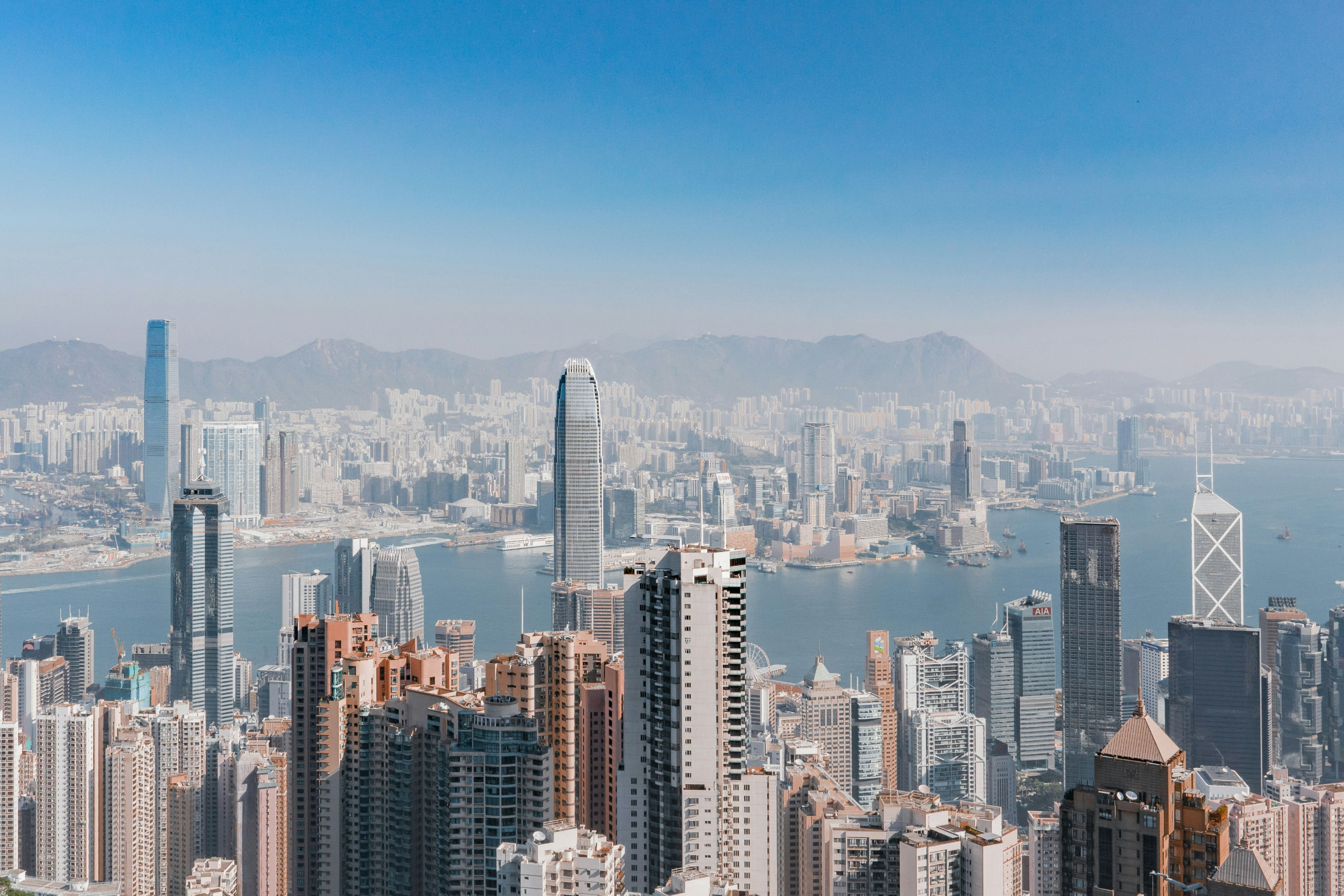 A Practical Guide to Verifying a Hong Kong Company