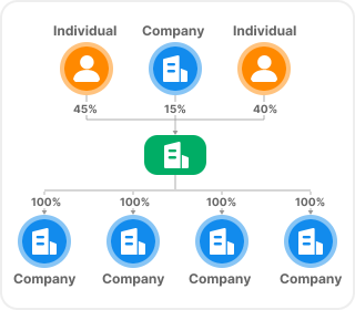 Ownership Structure Map